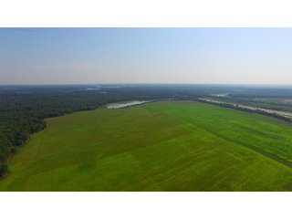 Farmland in Pulaski County, Arkansas - ABSOLUTE ARKANSAS REAL ESTATE AUCTION - 1,200+/- ACRES OFFERED IN 6 TRACTS IN PULASKI COUNTY, ARKANSAS